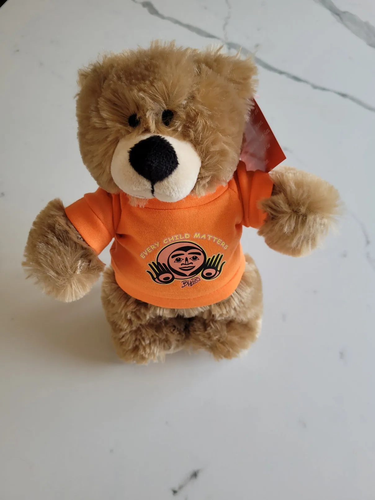 10" Teddy Bear stuffie with Every Child Matters Tshirt, a Native artist Bill Helin design