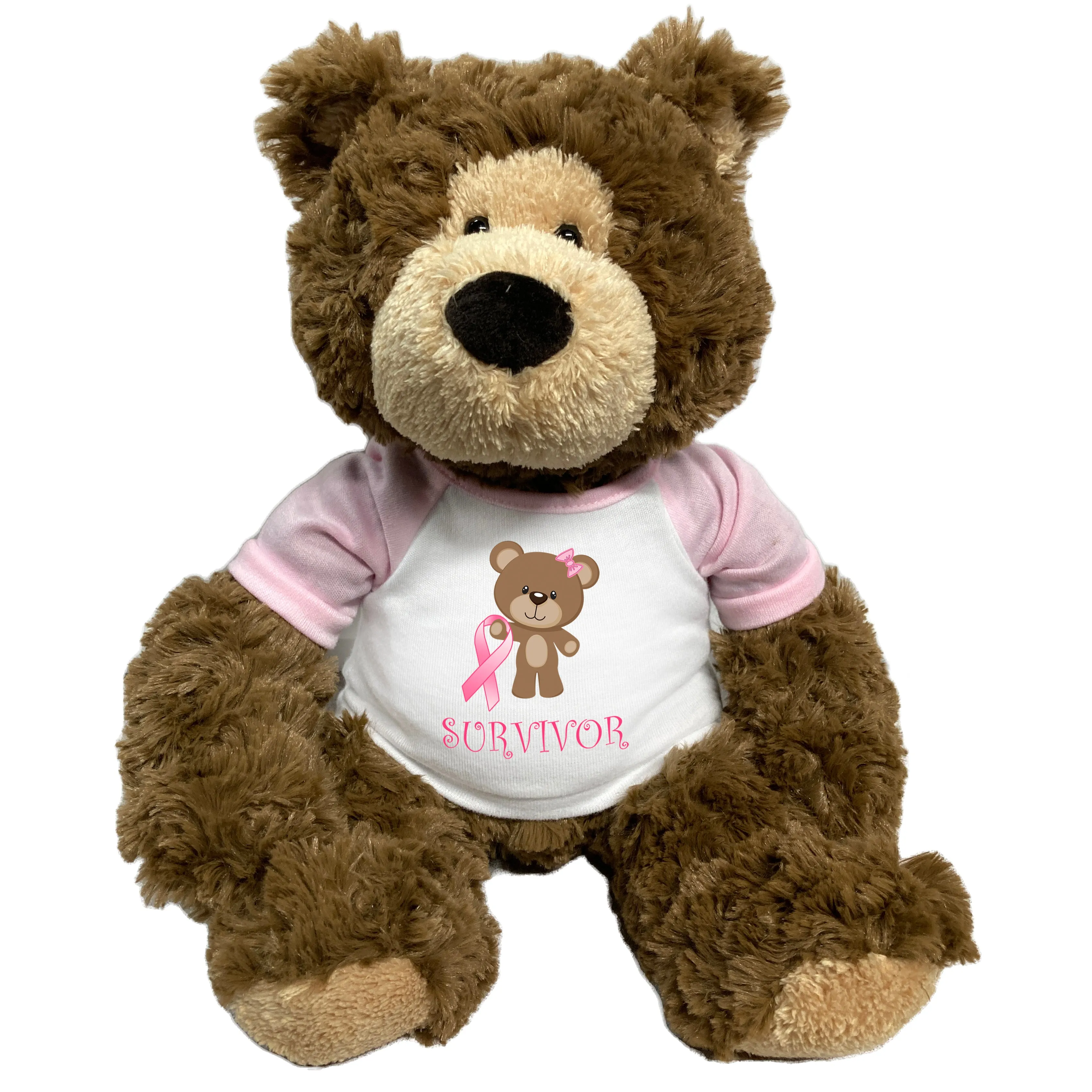 Breast Cancer Support Teddy Bear - Personalized 14" Bear Hugs, Survivor or Believe Design