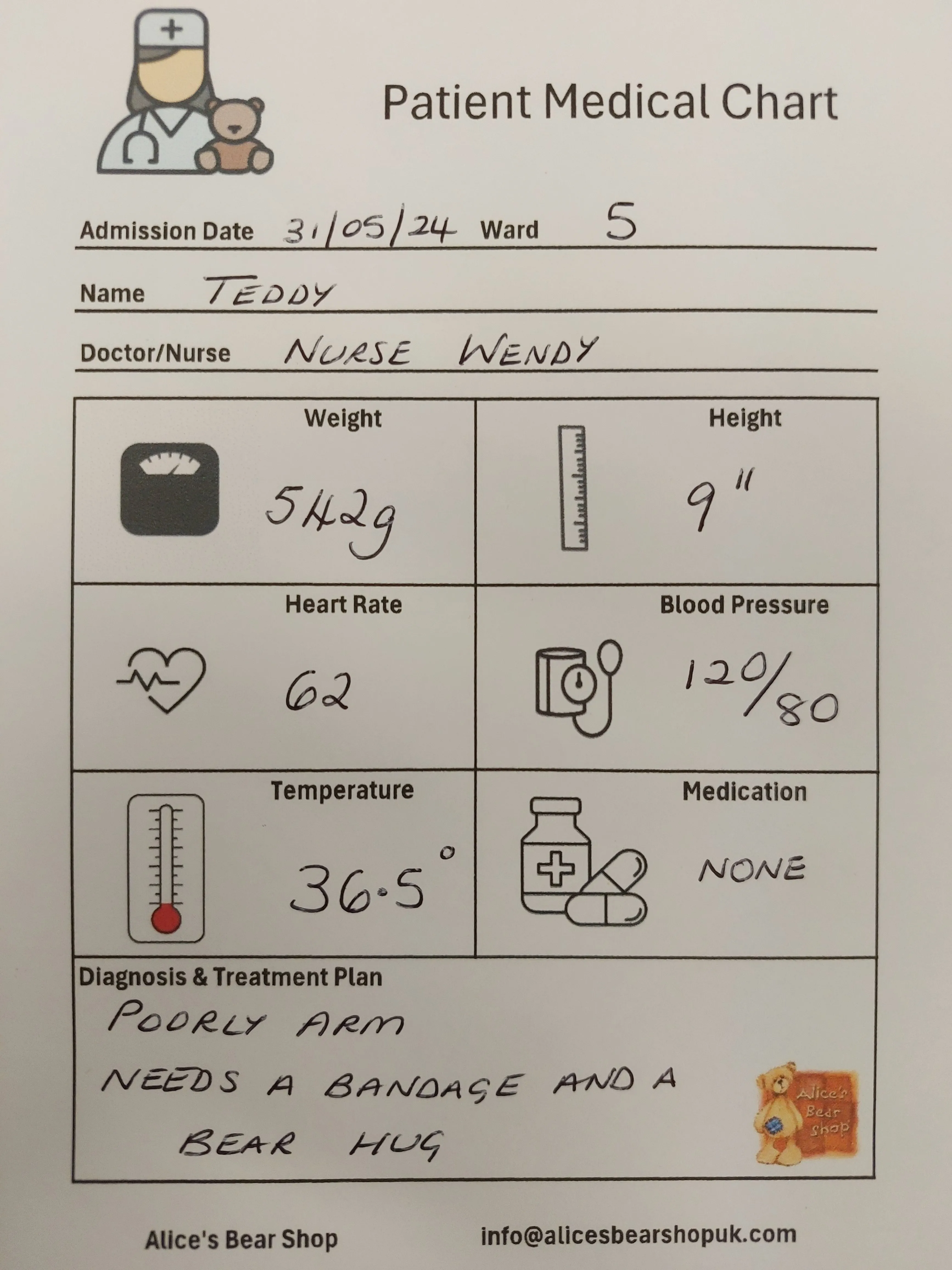 ***FREE DOWNLOAD*** Playtime Teddy Hosptial Patient Medical Chart Printable