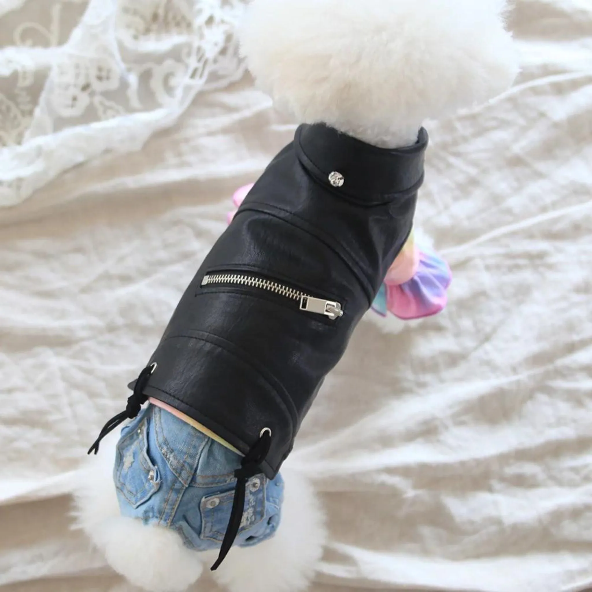 PREORDERS ARE NOW CLOSED!  Popdog Black Zipup Biker Jacket - PREORDER ITEM