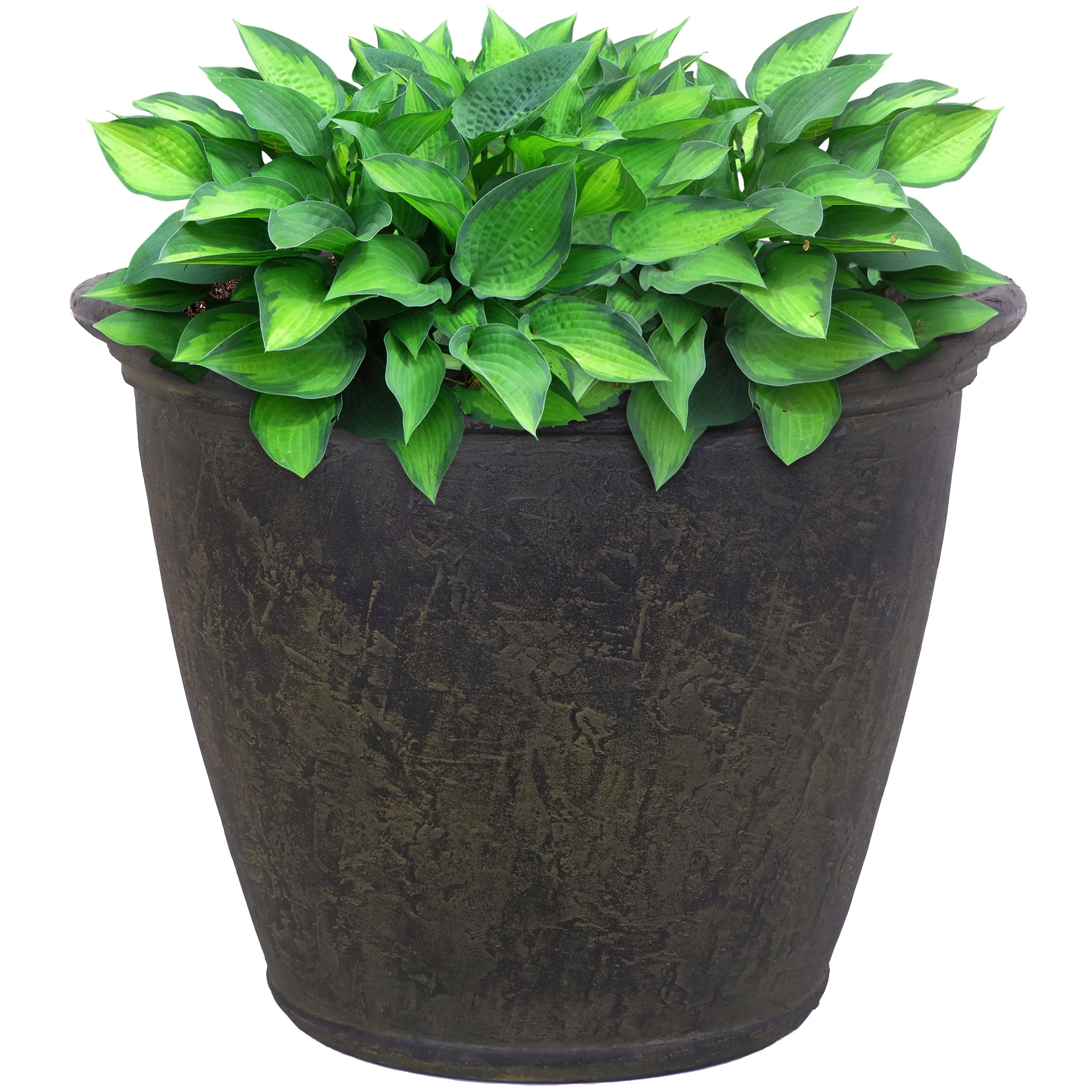 Sunnydaze Anjelica Polyresin Outdoor Flower Pot Planter