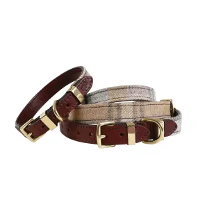 'The Otis' Sand Sheltie Dog Collar